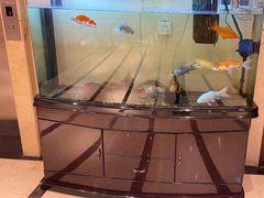 -紫鑫阁饭庄(长安店)