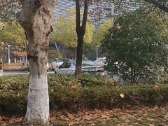 -南京奥林匹克体育中心-体育馆