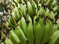 -水濂山森林公园