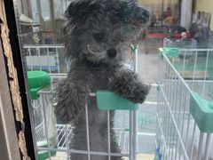 -山东柏宁水族批发广场