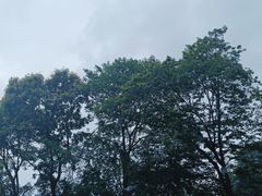 -终南山南五台景区