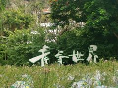 -青青世界