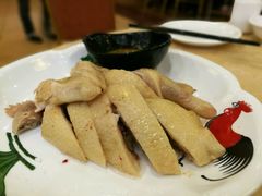 谭牛文昌鸡-琼菜王(南海店)