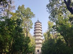 -灵谷景区