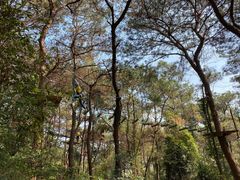 -芦仙山景区-飞越丛林探险乐园