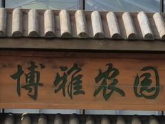 -上海都市菜园