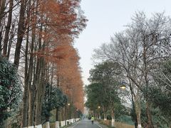 -西溪国家湿地公园