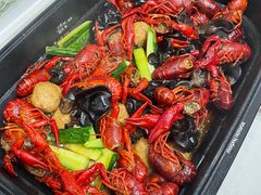 -同銮特种养殖场·龙虾垂钓