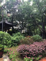 -莲生母婴月子中心(清水河公园店)