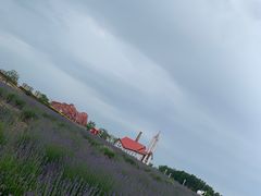 -西海岸生态观光园