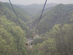 -栾川竹海野生动物园