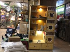 -宝鸡东道花鸟鱼虫市场(吉利花园商场店)