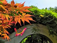 -汇龙潭