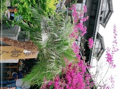 -海韵人家.海景花园经典云南菜(双廊店)