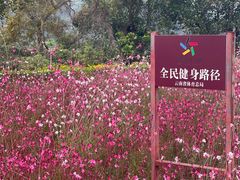 -孔雀湖生态旅游区