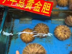 -桃源市场(解放路店)