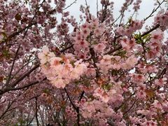 -福建鲤鱼洲酒店
