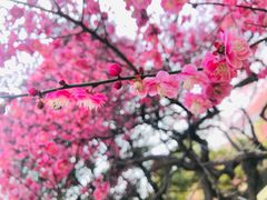 -浙江大学(玉泉校区)