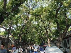 -北京国子监胡同