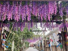 -呀路古热带植物园
