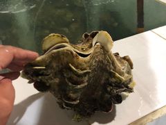 -海盗餐厅