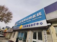 -北京观赏动物医院·24小时大型综合·猫专科·异宠专科