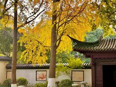 -郑和公园