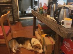 -阿尔法海鲜排档(爱琴海店)