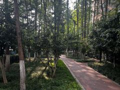 -北极阁公园