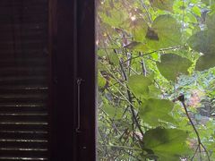 -斯多格书乡(北京大学畅春园店)