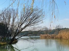 -昆山城市生态森林公园