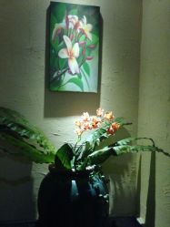 -蕾蕾美颜美容美体