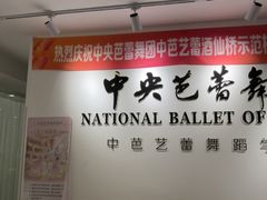 -中央芭蕾舞团·中芭艺蕾(酒仙桥明星校区)