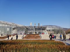-北京植物园-展览温室