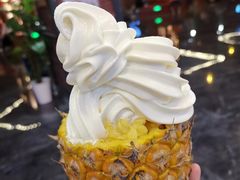 -野人先生现做冰淇淋(西安赛格店)