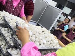 -回坊马二饺子馆