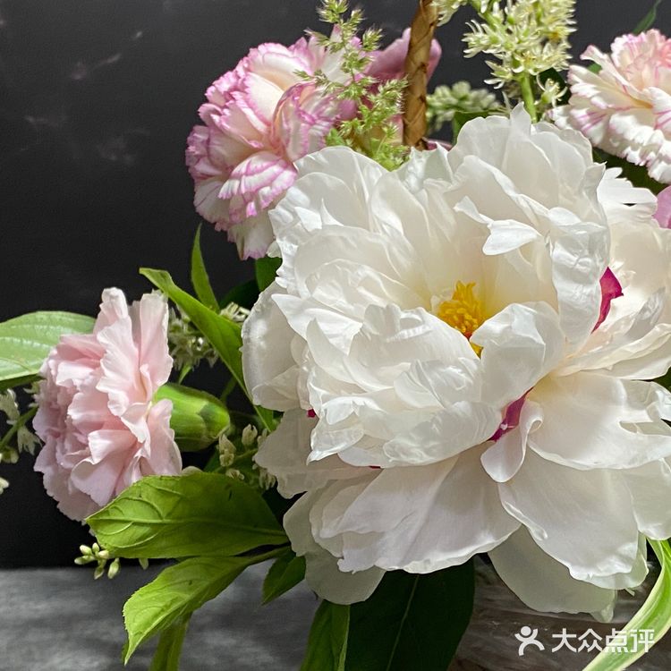 桔叶2枝 棒槌草（野草）2枝 金边吊兰2枝