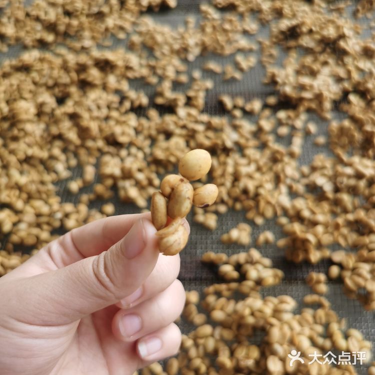 云南保山～潞江坝～小众咖啡庄园2～