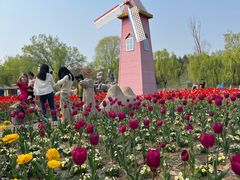 -祥源·阜阳生态乐园