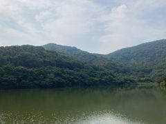 -黄埔油麻山森林公园
