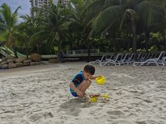 -亚马逊丛林水乐园