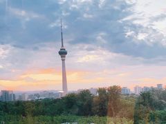 -中国宋庆龄青少年科技文化交流中心