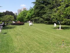 -金城公园