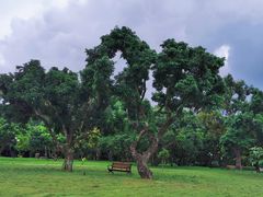 -荔枝公园(福田区)