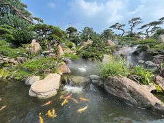 -罗红摄影艺术馆