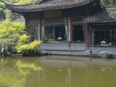 -乾园.魏庐湖景餐厅(花港店)
