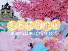 -海合安成都极地海洋公园