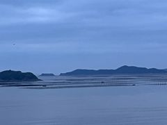 -北岐滩涂