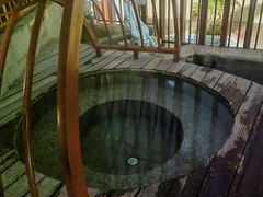 -东山湖温泉度假村