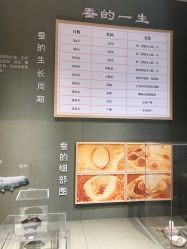-太湖雪蚕桑文化园